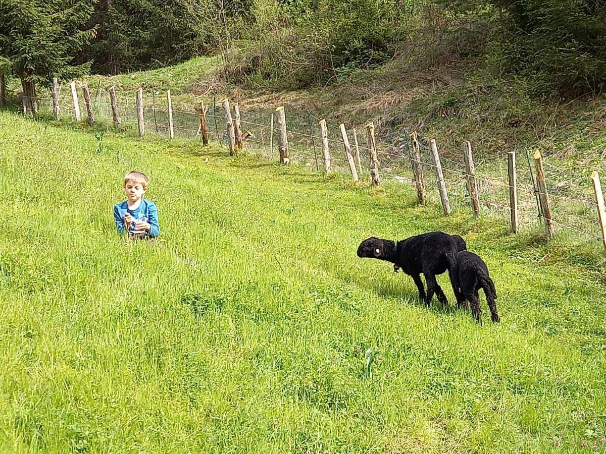Ferienwohnungen Weberbauer Sankt Martin bei Lofer Luaran gambar